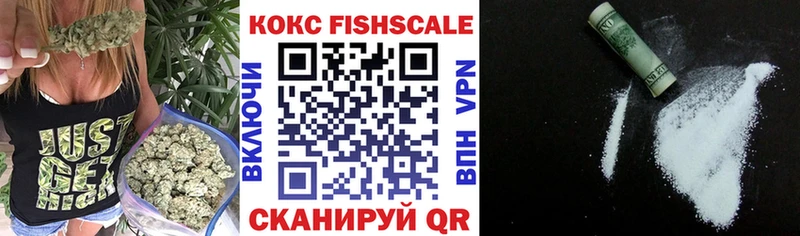КОКАИН Fish Scale  Купить закладки  Дальнереченск 