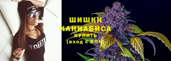 стаф Михайловск