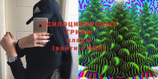 стаф Михайловск