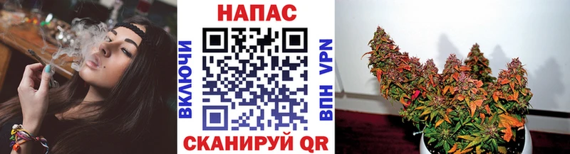 Купить  Дальнереченск  Канабис тримм 